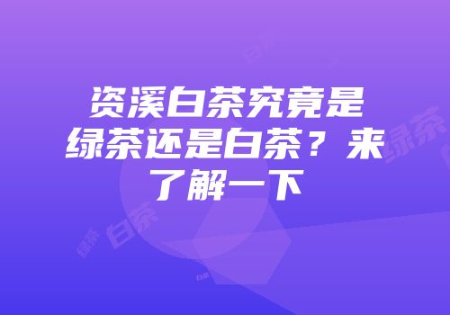 资溪白茶究竟是绿茶还是白茶？来了解一下