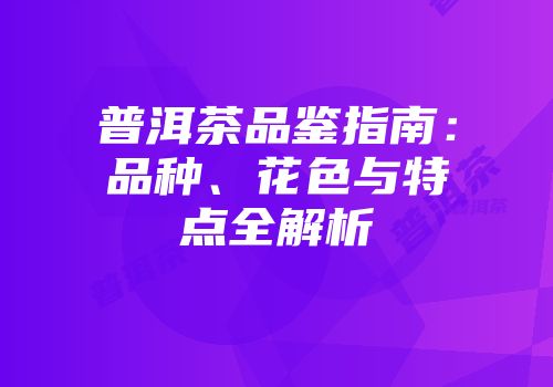 普洱茶品鉴指南：品种、花色与特点全解析
