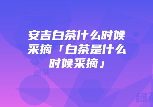安吉白茶什么时候采摘「白茶是什么时候采摘」