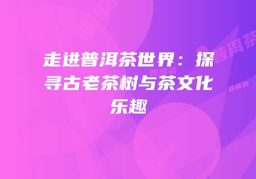 走进普洱茶世界：探寻古老茶树与茶文化乐趣
