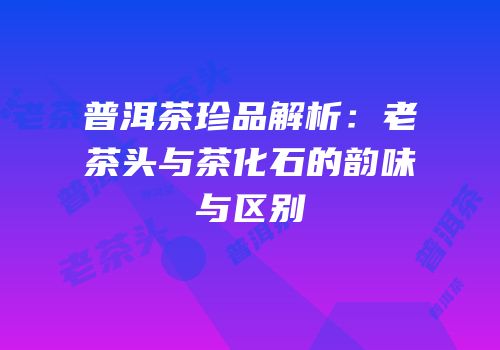 普洱茶珍品解析：老茶头与茶化石的韵味与区别