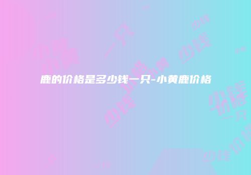 鹿的价格是多少钱一只-小黄鹿价格