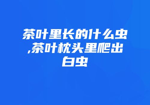 茶叶里长的什么虫,茶叶枕头里爬出白虫