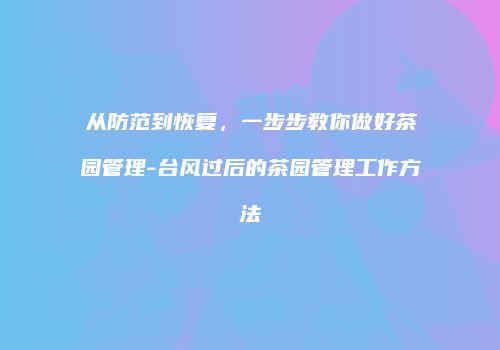 从防范到恢复，一步步教你做好茶园管理-台风过后的茶园管理工作方法