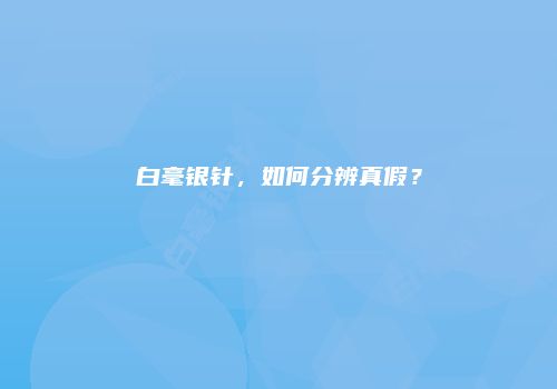 白毫银针，如何分辨真假？