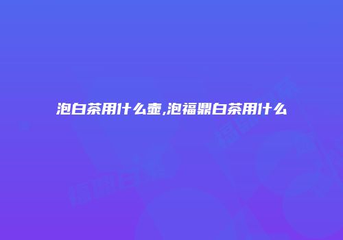 泡白茶用什么壶,泡福鼎白茶用什么