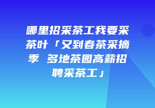 哪里招采茶工我要采茶叶「又到春茶采摘季 多地茶园高薪招聘采茶工」