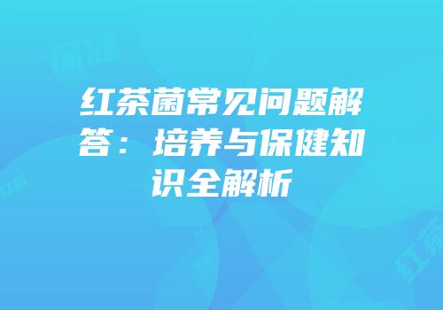 红茶菌常见问题解答：培养与保健知识全解析