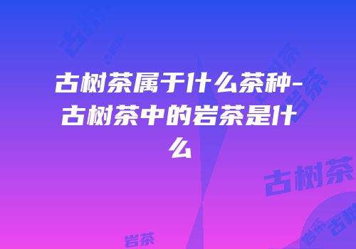 古树茶属于什么茶种-古树茶中的岩茶是什么