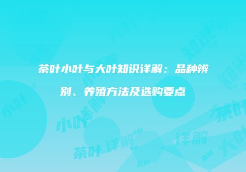 茶叶小叶与大叶知识详解：品种辨别、养殖方法及选购要点