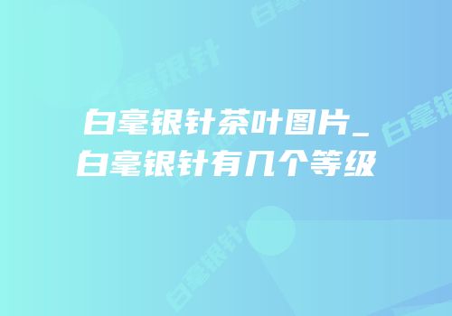 白毫银针茶叶图片_白毫银针有几个等级
