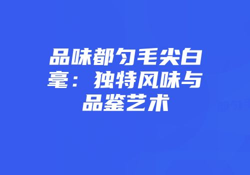 品味都匀毛尖白毫：独特风味与品鉴艺术