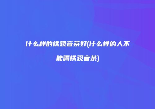 什么样的铁观音茶好(什么样的人不能喝铁观音茶)