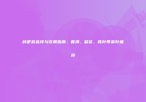 减肥茶选择与饮用指南：普洱、菊花、荷叶等茶叶推荐
