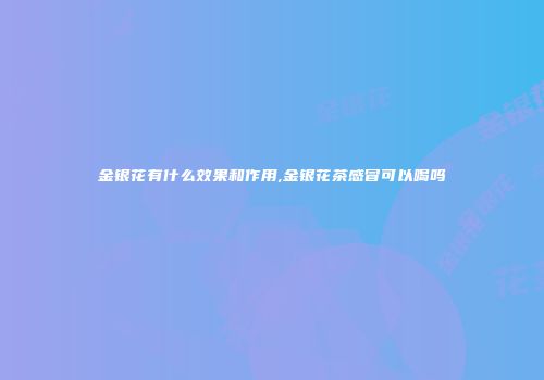 金银花有什么效果和作用,金银花茶感冒可以喝吗