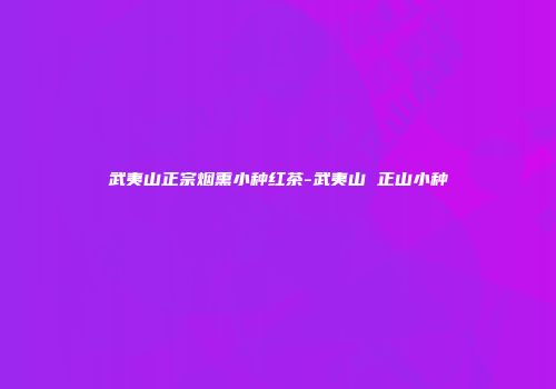 武夷山正宗烟熏小种红茶-武夷山 正山小种