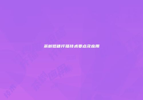 茶树短穗扦插技术要点及应用