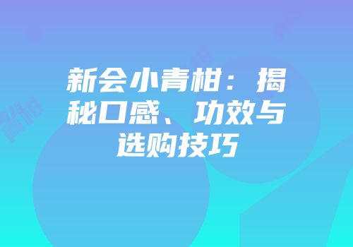 新会小青柑：揭秘口感、功效与选购技巧