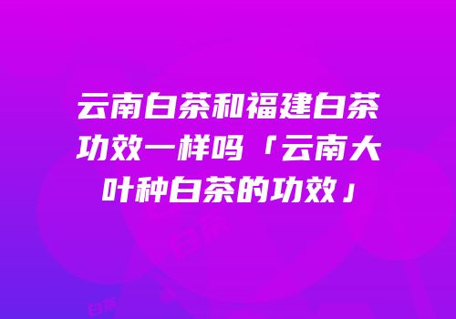 云南白茶和福建白茶功效一样吗「云南大叶种白茶的功效」