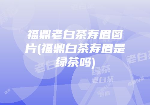 福鼎老白茶寿眉图片(福鼎白茶寿眉是绿茶吗)