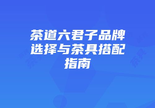 茶道六君子品牌选择与茶具搭配指南