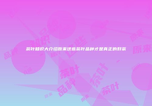 茶叶知识大介绍原来这些茶叶品种才是真正的好茶