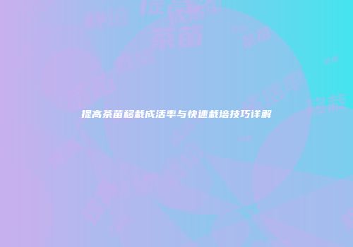 提高茶苗移栽成活率与快速栽培技巧详解