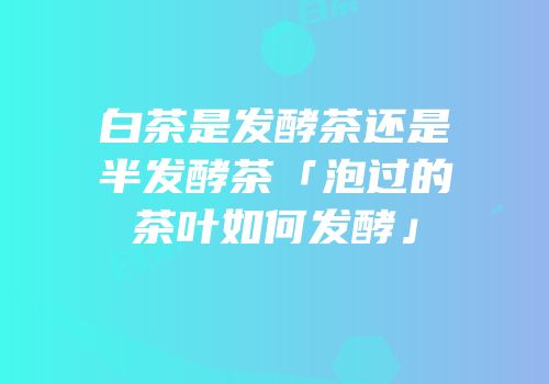 白茶是发酵茶还是半发酵茶「泡过的茶叶如何发酵」