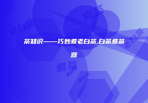 茶知识——巧妙煮老白茶,白茶煮茶器
