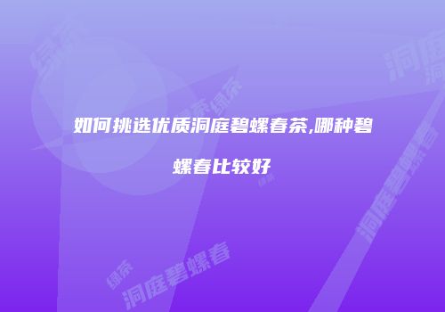 如何挑选优质洞庭碧螺春茶,哪种碧螺春比较好