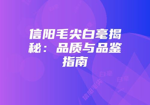 信阳毛尖白毫揭秘：品质与品鉴指南