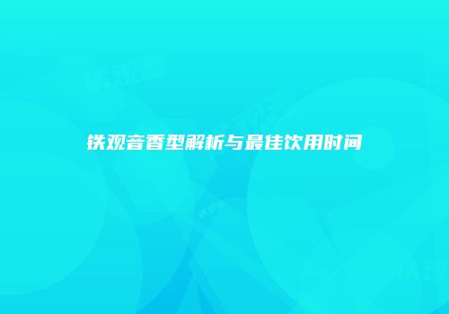 铁观音香型解析与最佳饮用时间
