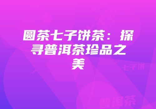 圆茶七子饼茶：探寻普洱茶珍品之美
