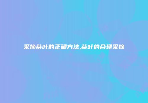 采摘茶叶的正确方法,茶叶的合理采摘