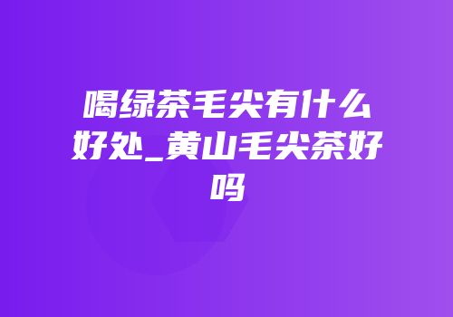 喝绿茶毛尖有什么好处_黄山毛尖茶好吗