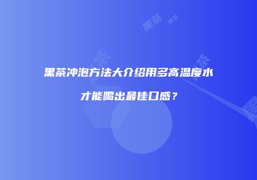 黑茶冲泡方法大介绍用多高温度水才能喝出最佳口感？