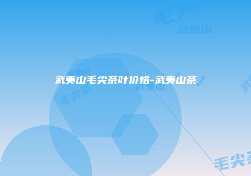 武夷山毛尖茶叶价格-武夷山茶