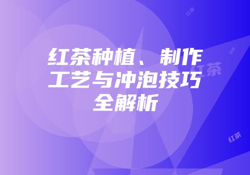 红茶种植、制作工艺与冲泡技巧全解析