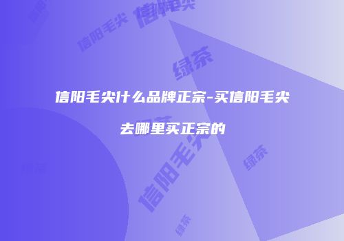 信阳毛尖什么品牌正宗-买信阳毛尖去哪里买正宗的