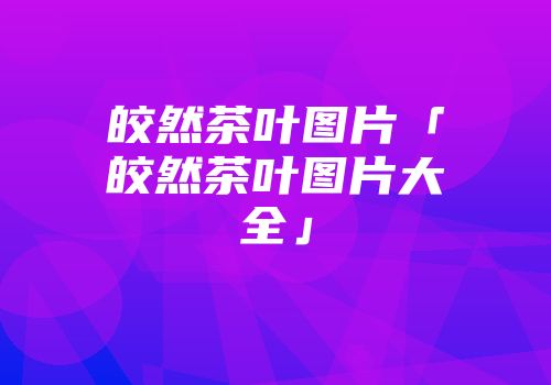 皎然茶叶图片「皎然茶叶图片大全」