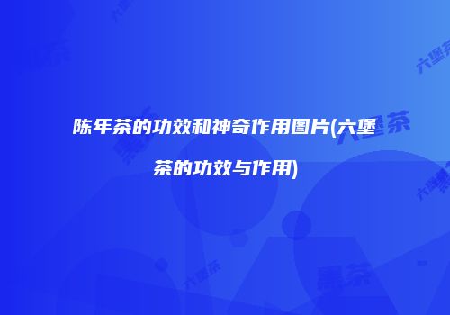 陈年茶的功效和神奇作用图片(六堡茶的功效与作用)
