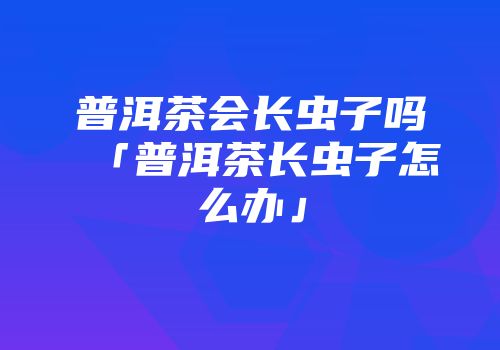 普洱茶会长虫子吗「普洱茶长虫子怎么办」