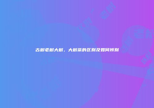 古树老树大树，大树茶的区别及如何辨别