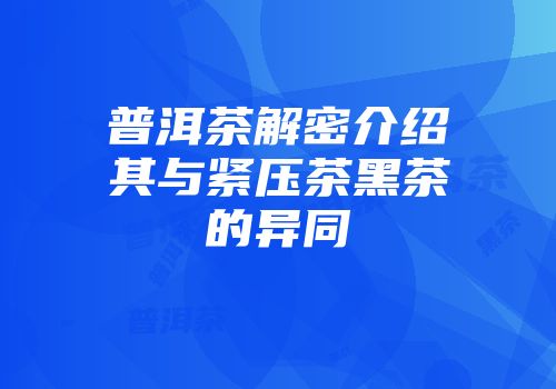 普洱茶解密介绍其与紧压茶黑茶的异同