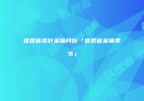 铁观音茶叶采摘月份「铁观音采摘季节」