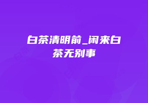 白茶清明前_闲来白茶无别事