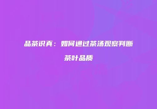 品茶识真：如何通过茶汤观察判断茶叶品质
