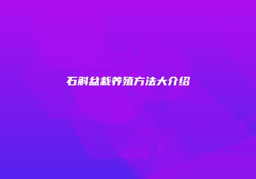 石斛盆栽养殖方法大介绍