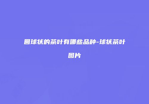 圆球状的茶叶有哪些品种-球状茶叶图片