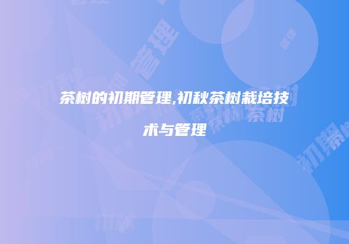 茶树的初期管理,初秋茶树栽培技术与管理
